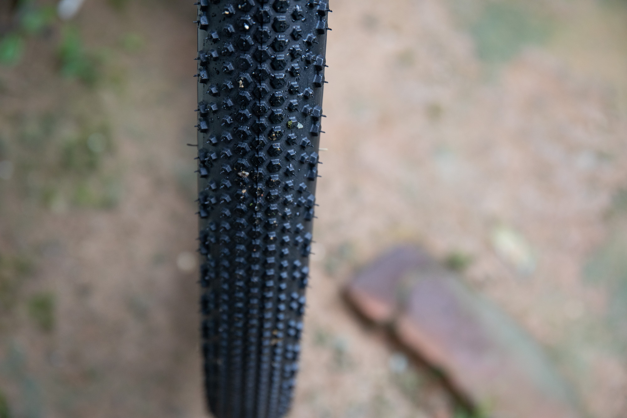 013A9159.jpg